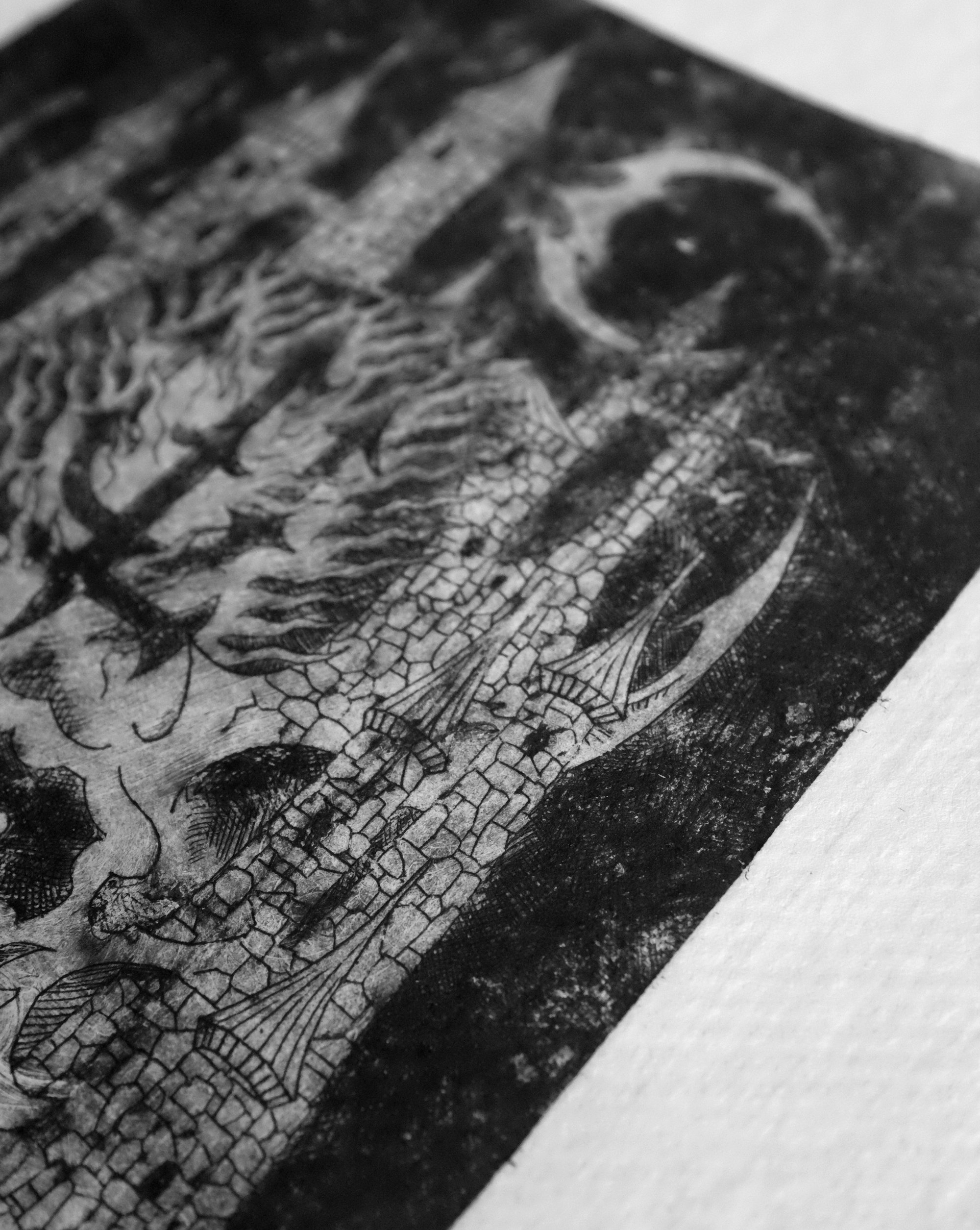 Image of CRÂNE CHÂTEAU DRYPOINT PRINT