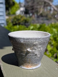 Cup 005