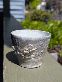 Cup 008