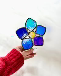Image 1 of Forget-Me-Not Nightlight no. 1 