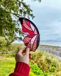 Image 2 of Wild Rose Wing -  7.5" x 4"