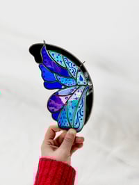 Image 1 of Aquarius Wing *SECONDS* - 7.5" x 4"