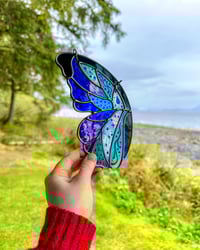 Image 2 of Aquarius Wing *SECONDS* - 7.5" x 4"