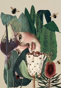 Image 1 of Bees
