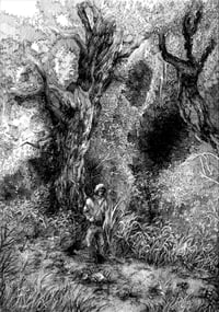 THROUGH THE WOODS (A3 PRINT)