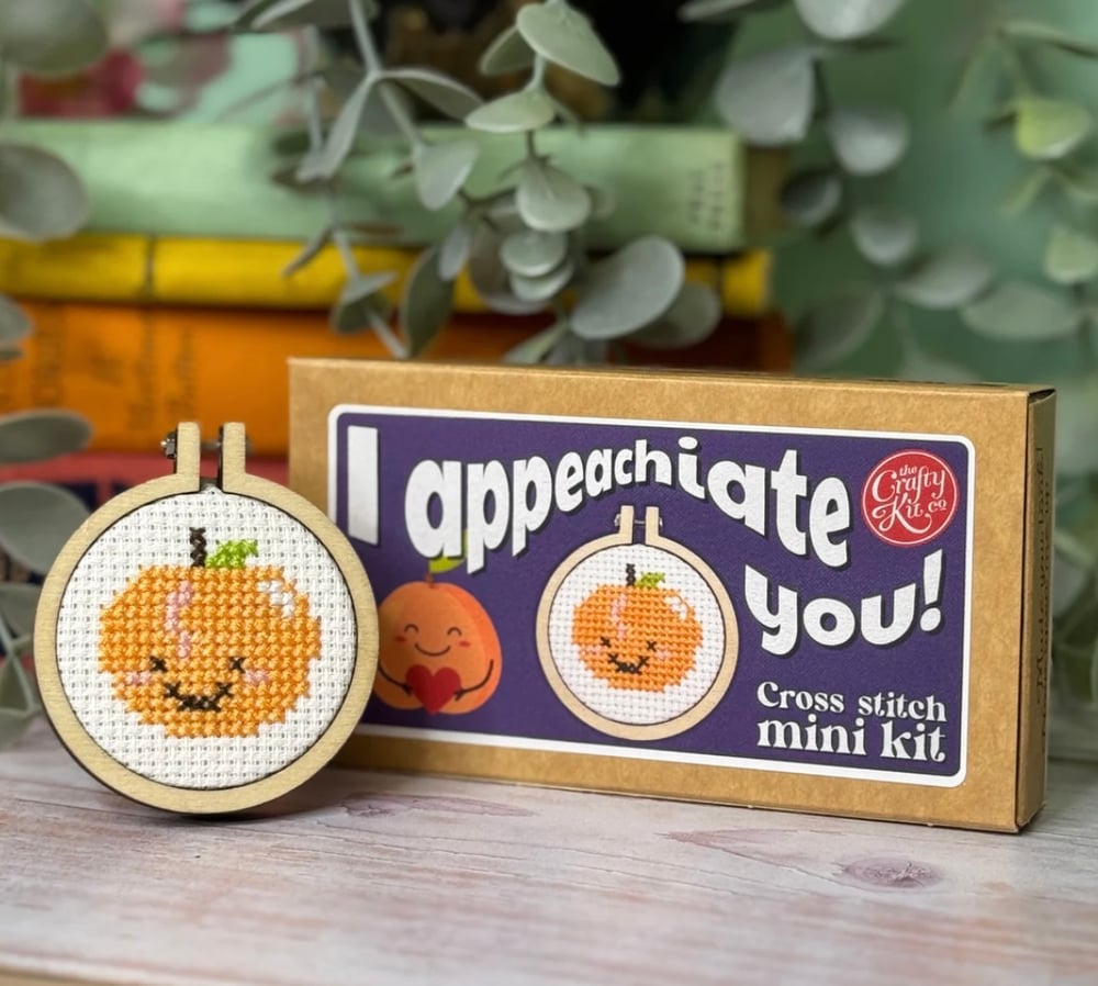 Image of Mini Cross Stitch Kits 