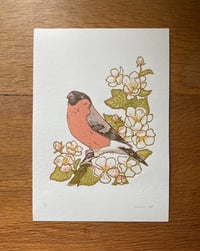 Image 1 of Bullfinch - Reduction Print