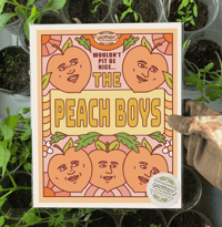 Image 2 of PEACH BOYS - GROOVIN' IN THE GARDEN 
