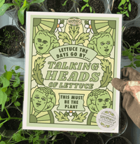 Image 2 of TALKING HEADS OF LETTUCE - GROOVIN' IN THE GARDEN
