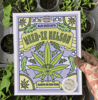 Image 2 of WEEDIE NELSON - GROOVIN' IN THE GARDEN