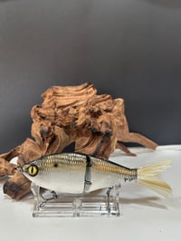 Image 1 of Sanger Custom Lures-