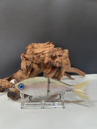 Image 1 of Sanger Custom Lures- Neo pearl shad