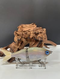 Image 1 of Sanger Custom lures-  ( Nasty Trout)