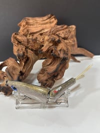 Image 3 of Sanger Custom lures-  ( Nasty Trout)