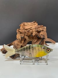 Image 1 of Sanger Custom Lures- ( Bright Gill)