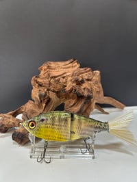 Image 2 of Sanger Custom Lures- ( Bright Gill)