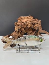 Image 1 of Sanger Custom Lures-  ( Neo Pearl Shad)
