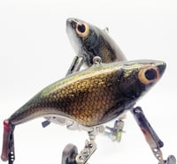 Image 1 of Lipless CreekStalker (Golden Shiner)