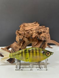 Image 3 of Sanger Custom Lures- ( Bright Gill  )