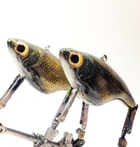 Image 2 of Lipless CreekStalker (Golden Shiner)