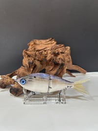 Image 3 of Sanger Custom Lures- ( PurpleShad)
