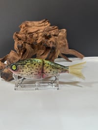 Image 1 of Sanger Custom Baits ( Crappie )