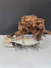 Image 1 of Sanger Custom Lures- ( Bone Silver Shad )