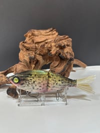 Image 3 of Sanger Custom Lures- (  Crappie  )