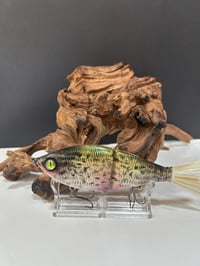 Image 1 of Sanger Custom Lures- (  Crappie  )