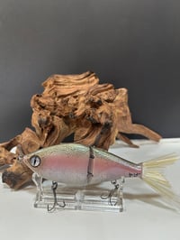 Image 2 of Sanger Custom Lures-  ( Nasty Trout  )