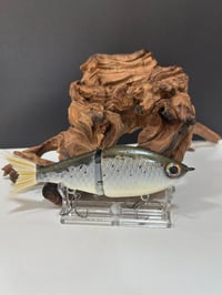 Image 1 of Sanger Custom Lures- ( Custom Color )