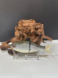 Image 3 of Sanger Custom Lures- ( Custom Color )