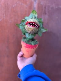 Image 3 of Audrey 2!