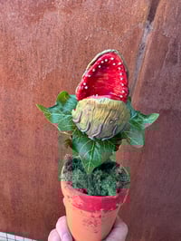 Image 4 of Audrey 2!