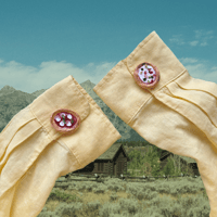 Image 1 of Pizza Button Covers