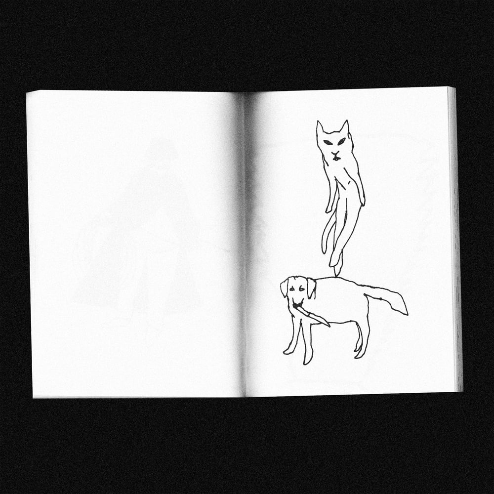 Image of [BRITNEY PRESS™] ILLITERATE DRAWINGS (ENRIQUE BARCO™)