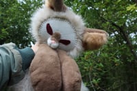 Image 4 of 🌱🦊🦴ALBINO FOX 🦴🦊🌱