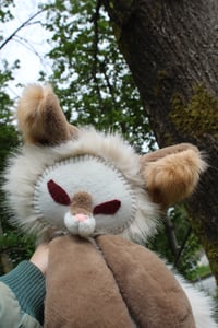 Image 8 of 🌱🦊🦴ALBINO FOX 🦴🦊🌱