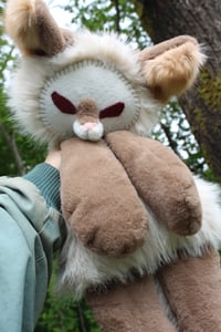 Image 1 of 🌱🦊🦴ALBINO FOX 🦴🦊🌱