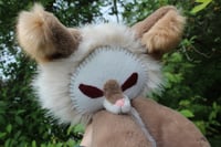 Image 2 of 🌱🦊🦴ALBINO FOX 🦴🦊🌱