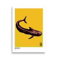 Image 1 of Grind / Pilot Whale poster