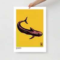 Image 4 of Grind / Pilot Whale poster