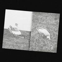 Image 2 of [BRITNEY PRESS™] WHAT A TIME TO BE ALIVE (ALEXANDER GROSS™)