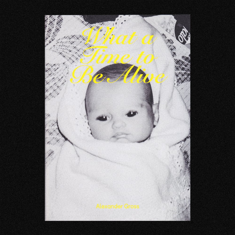 Image of [BRITNEY PRESS™] WHAT A TIME TO BE ALIVE (ALEXANDER GROSS™)