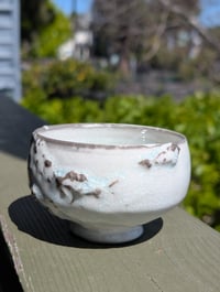 Cup 015