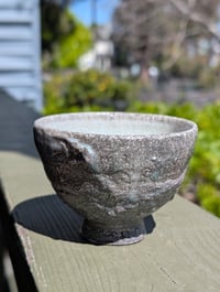 Cup 017