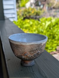 Cup 020