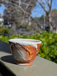 Cup 022