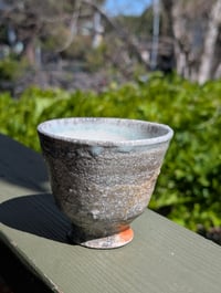 Cup 023