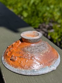 Image 2 of Dish 002